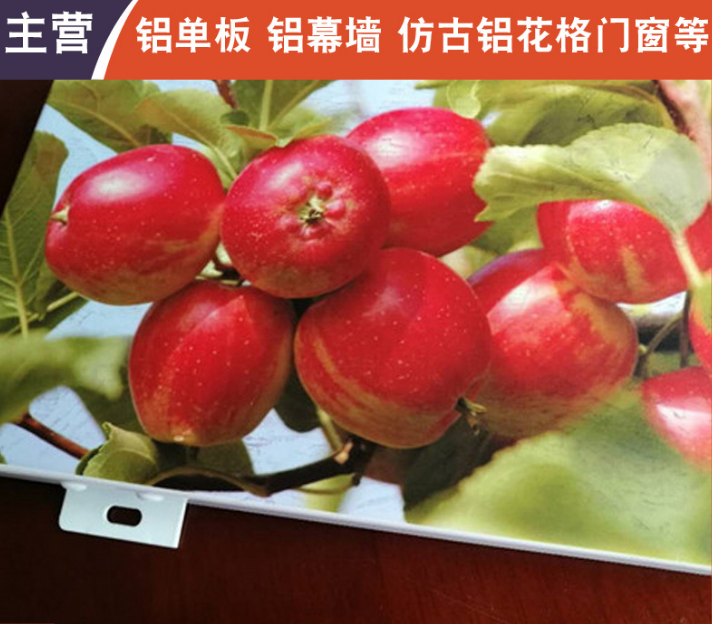 彩绘铝單(dan)板